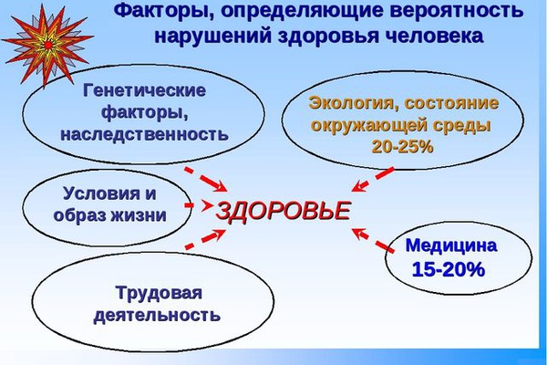 Плакаты