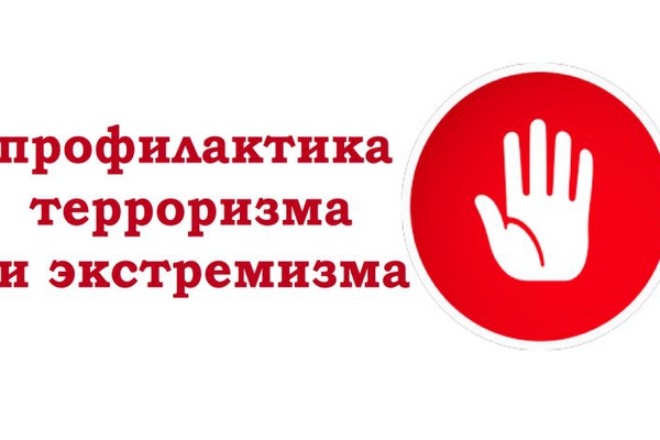 Профилактика терроризма, минимизация и (или) ликвидация его проявления